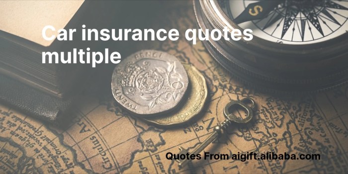 15+ Best Quotes For Multi Car Insurance | Hutomo