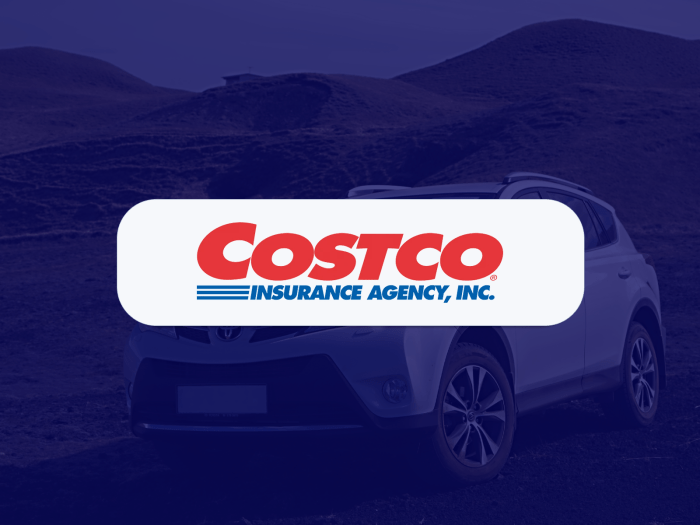 Costco Auto Insurance: User Reviews and Quotes (2025) | Insurify
